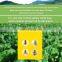 Dual Yellow Sticky Flying Plant Insect Fruit Fly Glue Traps Pheromone Strong Glue+paper+fly Bait 2 Year All-season MSDS Report