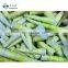 Frozen Bamboo Shoots Spring Bamboo Shoots Fresh Thunder Shoots