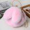 010Plush Bag Female Oblique Crossbody Korean Version Lovely chain women handbag fur Plush shoulder Bag Rabbit Ear Clip Mouth Bag