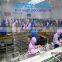 Factory Price fruit process line vegetables production line used in professional salad production lines
