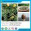 Tribulus Terrestris Extract