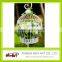 wholesale decorative bird cages for wedding