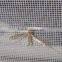 popular in australia and newzealand greenhouse market china PE anti insect net