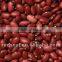 Dark Red Kidney Beans for Sale