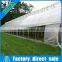 High quality stable structure single span venlo greenhouse for sale