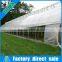 Nigeria greenhouse tomatoes for sale / commercial greenhouse