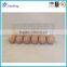 Custom Trasparent Blister Plastic Egg Tray,Transparent PET Blister Egg Tray