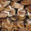 Hard Wood Oak,Ash,Maple,Popler,Tali
