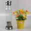 Wholesale 500ML China Factory Transparent Newly Design Glass Water Drinking Bottle With Lid And Stainless Steel Infuser