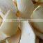 supply frozen dried apple slice with best price for sale