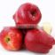 Fresh Huaniu apple with best price for sale