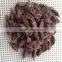 we are supplying the newest crop Tsaoko with gigh quality from CHINA