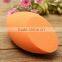 Dual Wet and Dry Use Egg Makeup Sponge Latex Free Cosmetic Blender Sponge