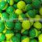 High Accuracy And Roundness Paintball for CS Game