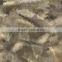 military uniform camouflage fabric, bag fabric, A-TACS camouflage fabric, T/C 65/35 21s*21s 108*58