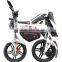 Electric Bike Mini Folding Electric Bike for sale