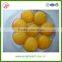 hot sale with high quality from Shandong Province Chinese canned yellow peach