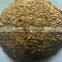Pepino Seed Pepino Cucumber Seeds For Cultivation Germination rate above 93%