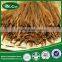 Daylily(raw),Dried Daylily,Day lily,Orange Daylily,Tawny Daylily,Tiger Daylily,Fulvous Daylily,Ditch Lily, Hemerocallis fulva