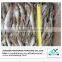high quality new season dried cod fish himetara