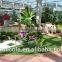 garden plants granule soil