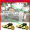 linseed/ perillaseed/ tea seeds oil press machine