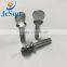 Customized special head screw,machine screw