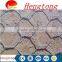 factory price PVC coated Hexagonal wire netting /rabbit cage