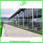 High Quality Giant Greenhouse,flower,plant House/large Inflatable Membrane Structures