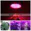 global greenhouse lighting led 45x3 watt for indoor use home grower