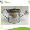 Wholesale custom unique small wedding gift decorative garden galvanized metal watering can for sale