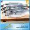 China Seafood Export Frozen Pacific Mackerel