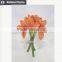 Home and party deoration kaffir lily bouquet for christmas flower making
