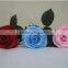 DIY Decoration Christmas Gifts Preserved flowers Immortal Colorful Roses
