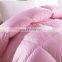 Mute Warm Thickened Goose/Duck Down Quilt