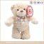 wholesale peluche double teddy bear toys, embossed plush toys