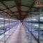 Namibia Poultry Farming Battery Broiler Cage & Meat Chicken Cage & Chicken Coop in Chicken Shed