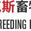 Cangzhou Phoenix Breeding Equipment Co.,ltd