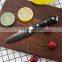 High Carbon Steel Pakka Wood Handle Damascus Paring Knife