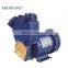 Small 0.25 kw automatic self priming vortex water pump with tank