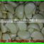[HOT]2014 fresh white garlic quality agriculture wholesale china/Garlic