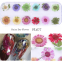 Camellia Dry Flower Dried Flower Acrylic Nails Diy Nail Stickers Manicure Decal