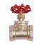 Brass Stop Valve Stop valve  DN15-DN100 High quality  china manufacture price discount