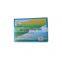 Hot Disposable Big Adhesive Sticky Mouse Glue Trap Board Catch Control Rat With Penaut Scent