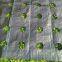 Garden Weed Barrier Landscape Fabric Woven PP 100gsm Weed Barrier Fabric Ground Cover Mat