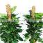 Reasonable Price 100 cm Indoor Artificial Garden Supplies Totem 80cm Coir Plant Moss Pole