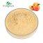 Private Label OEM Natural Water Soluble Natural Freeze Dried ISO Certified Apricot Fruit Powder