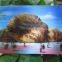 Wholesale High Quality Custom Eco-friendly 3d Lenticular Postcard