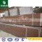 G562 Maple red granite, chinese red granite steps, tiles, headstone