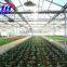 plastic arch greenhouse for sale from big greenhouse manufacturer in China